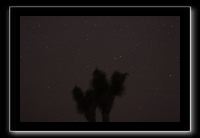 IMG_4433 (1)