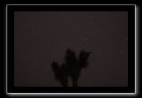 IMG_4434 (1)