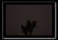 IMG_4436 (1)