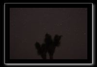 IMG_4437 (1)