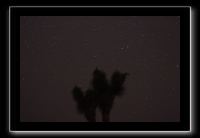 IMG_4439 (1)