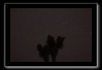IMG_4440 (1)