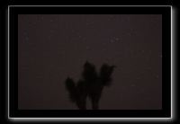 IMG_4441 (1)