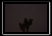 IMG_4444 (1)