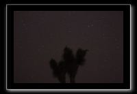 IMG_4445 (1)
