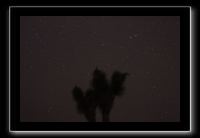 IMG_4446 (1)
