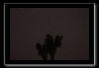 IMG_4448 (1)