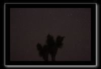 IMG_4450 (1)