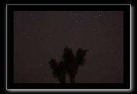 IMG_4454 (1)