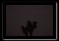 IMG_4455 (1)