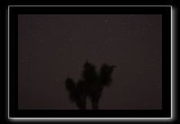 IMG_4459 (1)