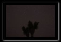 IMG_4461 (1)
