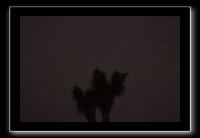 IMG_4462 (1)
