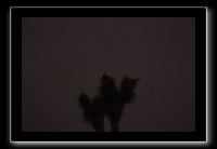 IMG_4463 (1)