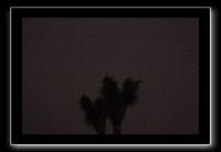 IMG_4464 (1)