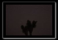IMG_4465 (1)