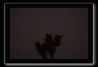 IMG_4466 (1)