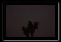 IMG_4467 (1)