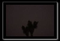 IMG_4469 (1)