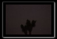 IMG_4470 (1)