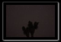 IMG_4471 (1)