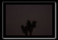 IMG_4472 (1)