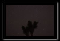 IMG_4473 (1)