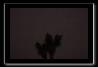 IMG_4475 (1)