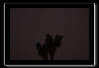 IMG_4476 (1)