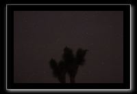 IMG_4477 (1)