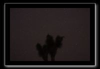 IMG_4480 (1)