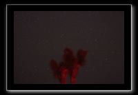 IMG_4481 (1)