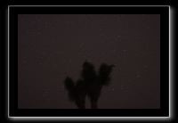 IMG_4482 (1)