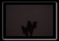 IMG_4483 (1)