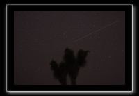IMG_4484 (1)