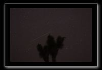 IMG_4485 (1)