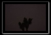 IMG_4486 (1)