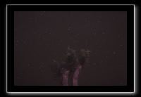 IMG_4488 (1)