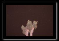 IMG_4492 (1)