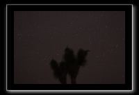 IMG_4493 (1)