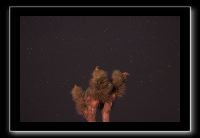 IMG_4494 (1)