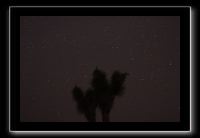 IMG_4495 (1)
