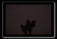 IMG_4496 (1)