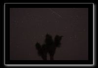 IMG_4497 (1)
