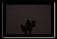IMG_4499 (1)