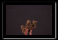 IMG_4501 (1)