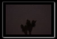 IMG_4502 (1)
