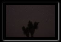 IMG_4504 (1)