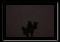 IMG_4505 (1)