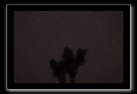 IMG_4506 (1)